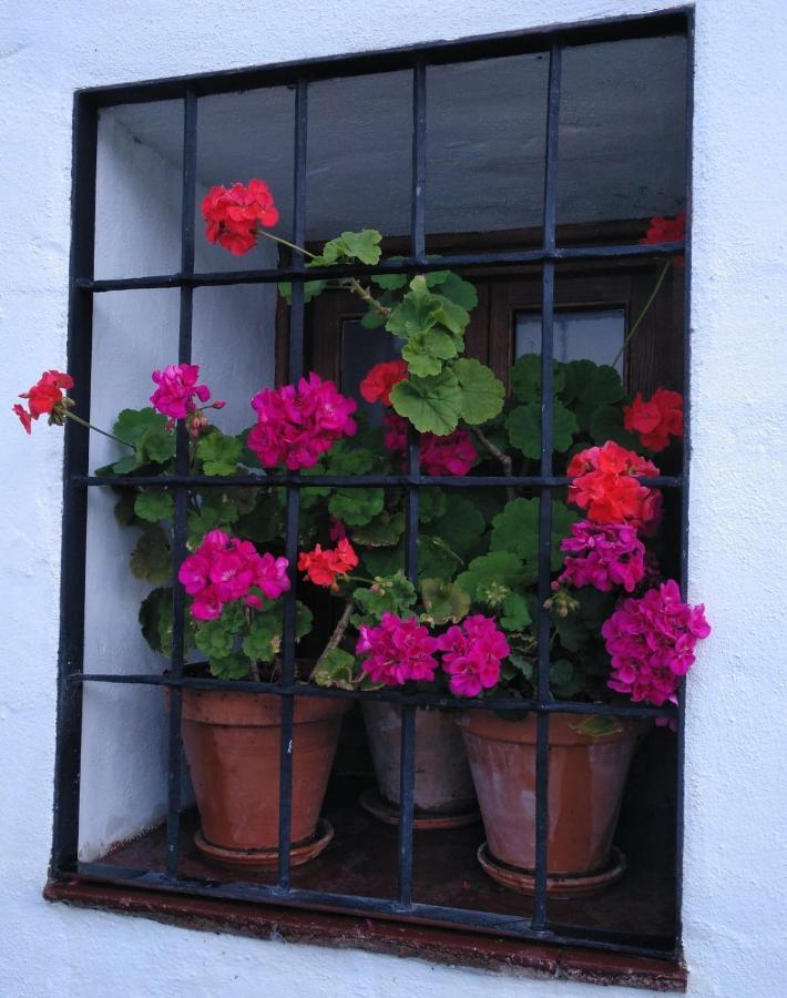 Casa Rural En Grazalema Buitenkant foto